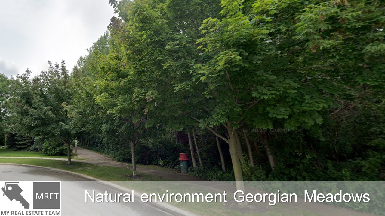 Meadows Collingwood Homes for sale, Listings