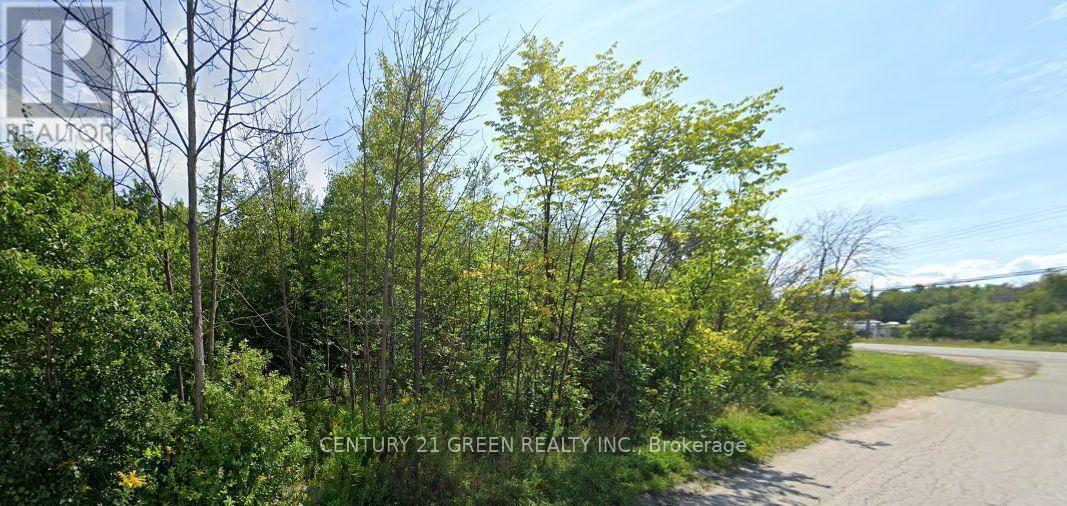 9618 BEACHWOOD ROAD Collingwood